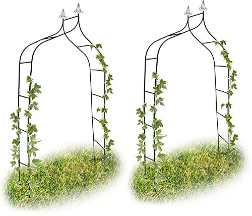 Arco da giardino in metallo per varie piante rampicanti, arco per rose, padiglione, archi d'ingresso, per interni ed esterni, decorazione da giardino e celebrazioni, resistente alle intemperie, 140 x