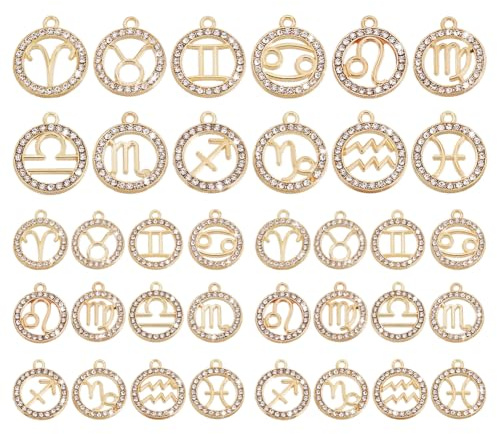PH PandaHall 48 Stück Sternzeichen Anhänger Zwölf Sternbilder Horoskop Sternzeichen Charms Konstellation Charms Zur Schmuckherstellung Halsketten Armbänder DIY 18.5~21.5mm, Golden