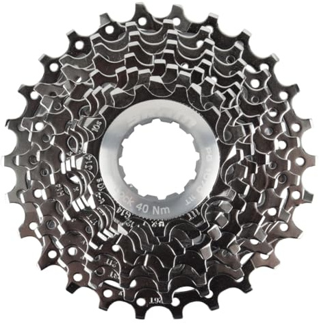 SRAM Kassette PG-1070, Option 3