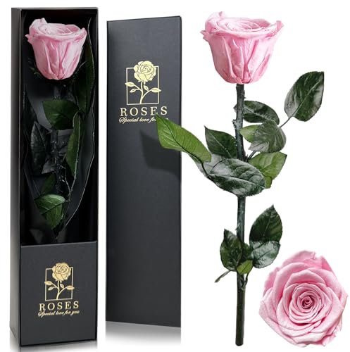 QHHENTOO Infinity Rose - Ewige Rose, Unvergängliche Geschenke für Frauen, Geschenke für Mutter/Freundin/Ehefrau/Oma, Ewige Blume (Rosa)