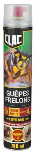 Clac® Aérosol Insecticide Nids Guêpes & Frelons 750 ml – Élimination Immédiate à Distance jusqu’à 4 m – Jet Ultra Puissant – Anti-Guêpes, Frelons et Insectes Volants