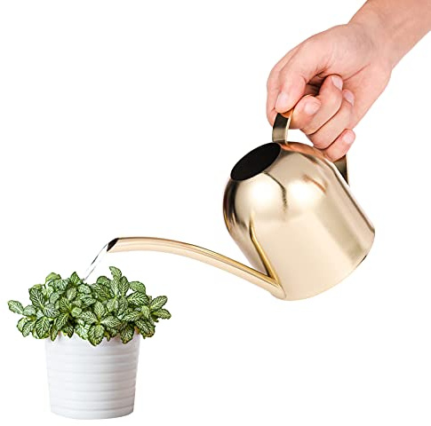Saicowordist 17.6OZ / 500ML Gold Indoor Watering Can Small, Ornate Stainless Steel Metal Long Spout Bonsai Mini Watering Can, Watering Pot for Indoor&Outdoor Plant(Gold)