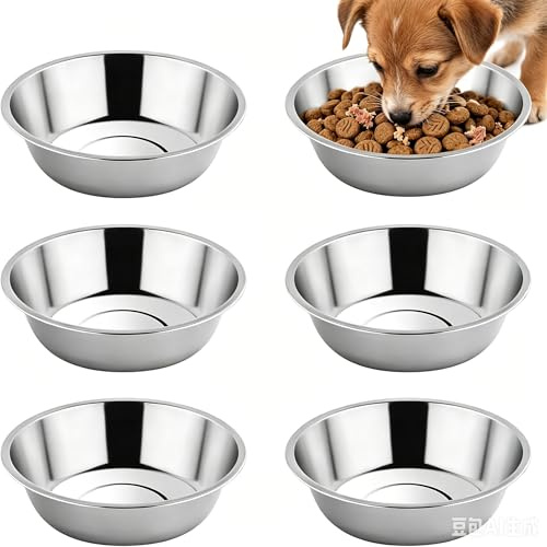 6 ciotole per gatti in acciaio inox, set di ciotole per gatti, ciotole per acqua, ciotole per gatti, set di ciotole per gatti, set di ciotole per gatti Zen e cani di piccola taglia, facili da pulire