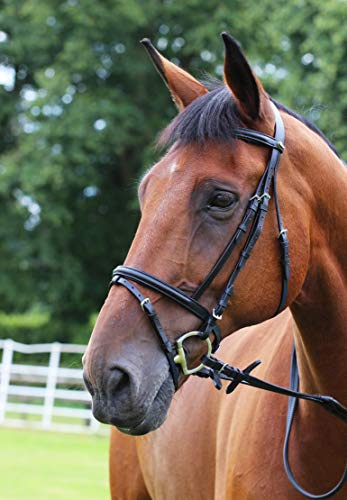 Gallop Padded Bridle and Rubber Reins set (Brown, Full)