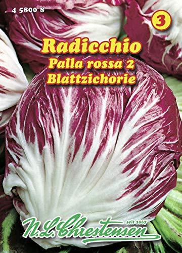 N.L. Chrestensen 458008 Radicchio Palla rossa 2 (Radicchiosamen)