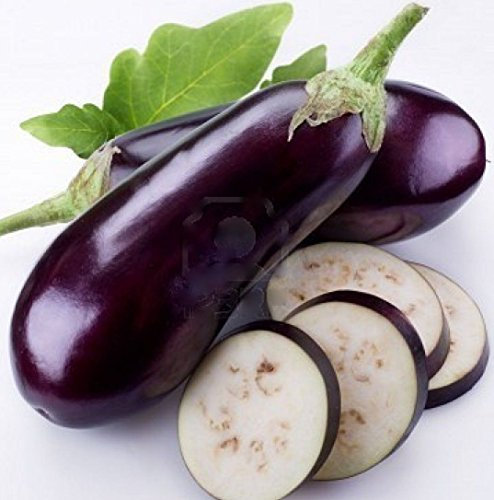 Graines d'aubergine longue violette Heirloom non OGM Oriental: PAQUET DE 100 GRAINES
