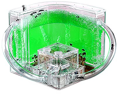 EXBEPE Ant Farm for Kids Safety and Environment Gel Ant Colony Ecosystem Terrarium, Ant Habitat Science Learning Kit(with No Ant)…