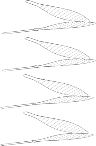 HAC24 4X Edelstahl BBQ Fischbräter 42 x 9 cm Fischgriller Fischzange Fischhalter Fischgitter Fischwender Fisch Mais Grillkorb