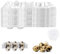Lot de 50 boîtes à œufs de caille - 6 grilles - En carton - Avec couvercle - Avec 100 élastiques