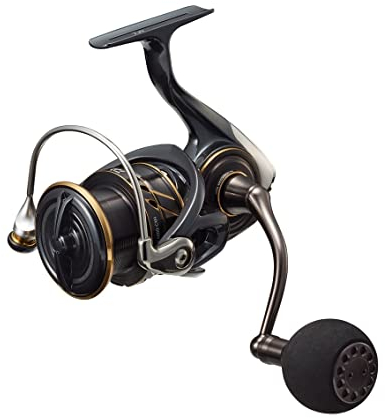 Daiwa Caldia SW 4000-CXH 22 Spinnrolle (Modell 2022)