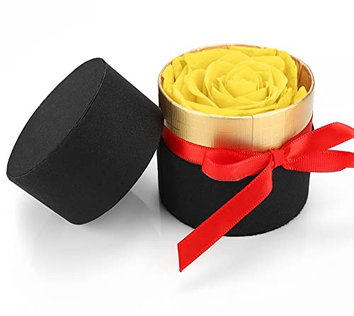 RANJIMA Bevarande Rosor, Rosor Box med Infinity Rosor,Real Mini Rosor Infinity Rose Flower, Kungliga Blommor för Födelsedag Årsdag Bröllop,Bröllopspresenter,Romantiska Födelsedag Gåva