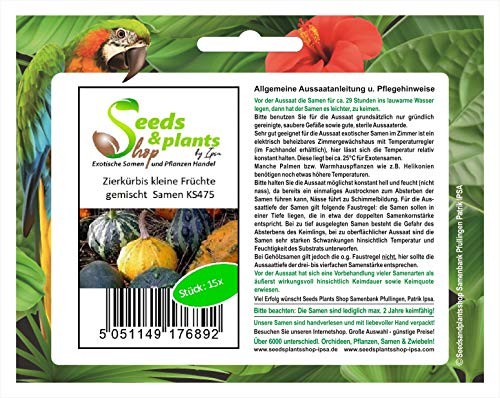 Pcs - 15x Courge Décorative Petit Fruits Gemischt- Courges Patty Pan Légumes Graines KS475 - Seeds & Plants Shop by Ipsa