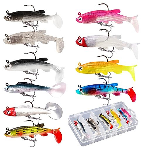 XIAQICA 10 Pièces Leurres Peche en Mer Ensemble avec 1 Boîte en Plastique Hameçons Appâts Artificiels avec hameçons aigus Pointus Leurre Souple Faux Appâts pêche Leurre Souple pour Truite Brochet Bar