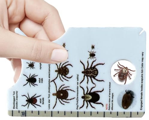 FANGZ Zeckenkarte für Menschen, Ermöglicht einfaches Entfernen von Zecken, Tragbare Zeckenkarte mit Lupe zum sanften Entfernen von Zecken von Menschen und Haustieren