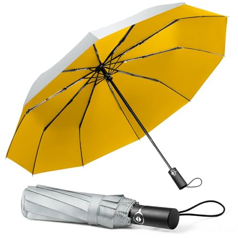 TechRise Parapluie Automatique Compact et Pliable, 10 Baleines, Ouverture et Fermeture à un Seul Bouton, Portable pour Hommes et Femmes