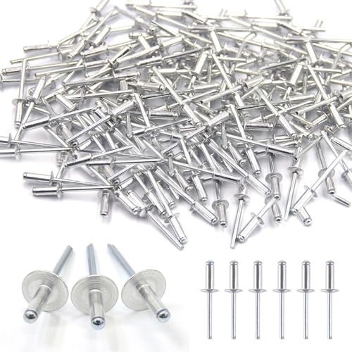 Lot de 100 Rivet Aveugles en Aluminium, Rivets Pop 4,8 x 13 mm Bride Rivet Pop Tete Large pour Métal Bois Plastique (argenté)