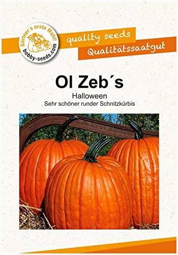 Ol Zebs Kürbissamen von Bobby-Seeds Portion