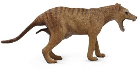 Tachan Collecta - Thylacine Tigre De Tasmania Hembra - L - 88767 (90188767)