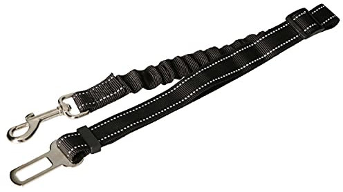 KOTARBAU® Elastische Hundeleine mit Auto Sicherheitsgurt
