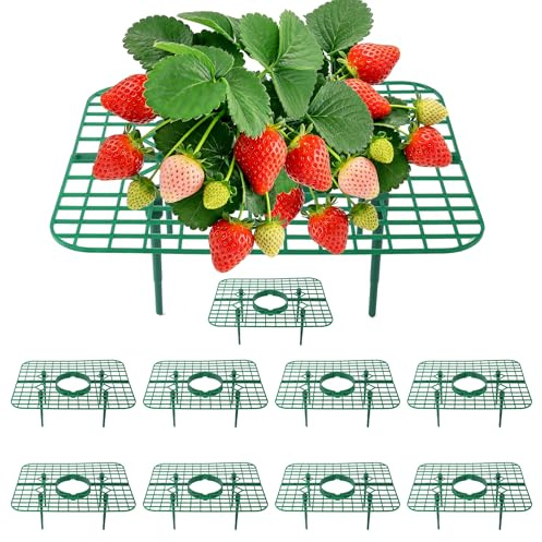 AONYIYI Soportes para Plantas de Fresa, Pack de 10, Soporte Cuadrado, Mantiene Las Fresas Fuera del Suelo, Reutilizable para jardín y huerto