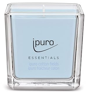ipuro - dekorative ipuro cotton fields - minimalistische & puristische Duftkerzen im Glas - intensive Duftkerzen mit pudrigen Vanille Noten - stilvolle Kerze 125 g