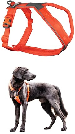 Non-stop dogwear Line Harness 5.0, Harnais rembourré pour Petits, Moyens et Grands Chiens, conçu pour la randonnée, Le Sport et la Vie Active de Tous Les Jours (Orange, Taille 8).