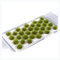 Plantas Mniaturas,32 Piezas Modelo de Césped Estático Modelo Fabricación Césped Estático Mechones Hierba para DIY Césped Artificial en Miniatura Deco