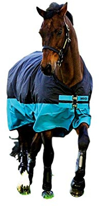 Horseware Amigo Mio Lite Pferdedecke / Regenschutz, Schwarz / Türkis