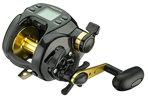 Daiwa