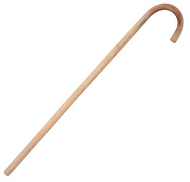 Playwell Martial Arts Ultra Light Rattan Walking Training Stick