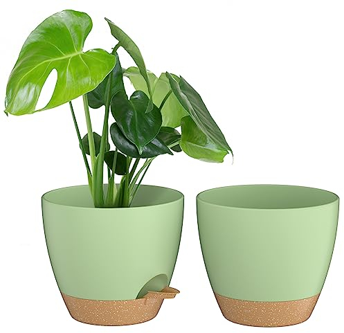 ZMTECH Vaso per Piante da 20 cm con Presa D'acqua Fioriere Autoinnaffianti con Fori Di Drenaggio e Sottovaso in Plastica per Piante da Interno e Da Esterno (Verde, Confezione da 2)