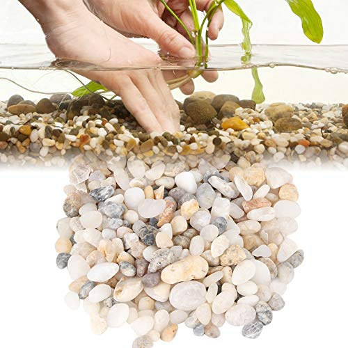 ZJchao Akvariumsubstrat för Levande Växter, Akvariumgrus Dekorativa Stenar för Krukväxter Dekorativa Polerade Stenar River Rocks för Vaser, Akvarier, Terrarium och Trädgårdsskötsel Utomhus