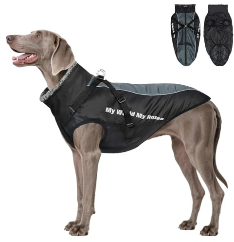 Votoko Manteau Chien Hiver Chaud, Manteau Chien avec Harnais, Imperméable Doudoune, Chaud pour Temps Froid. Équipé d'une Bande Réfléchissante Et d'un Col en Fourrure Pliable (2XL)