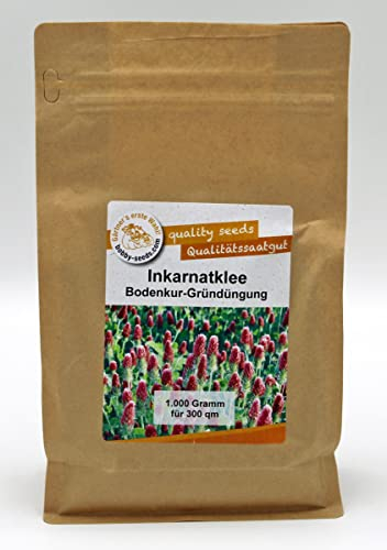 Bodenkur Inkarnatklee - staudige Gründüngung und Bienenweide (1000 Gramm)