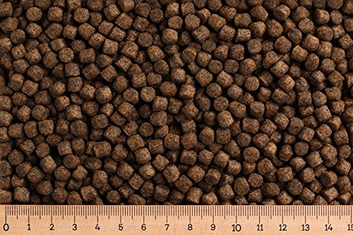 (Grundpreis 2,05 Euro/kg) - 30 kg Premium Karpfenfutter Primo Float - 6,0 mm - Karpfen schwimmend - Karpfenpellets