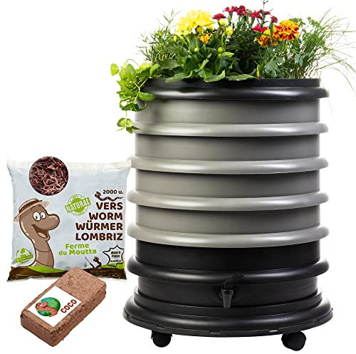 WORMbox | Wormery Worm Farm composter 4 Grey Trays + Planter + 1kg of Compost Worms / 2000 ctn + 1 Coco | 64 liters | Organic Waste Compost, make your Worm Castings