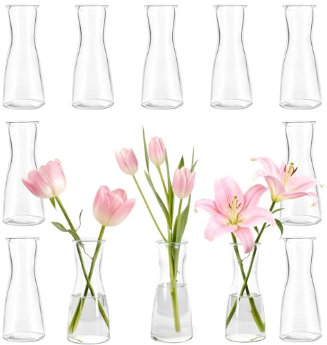 TEUYOE Lot de 12 petits vases transparents pour décoration de table, petits vases décoratifs de table pour cuisine, salle de bain, chambre à coucher, manteau de cheminée, étagère, décoration de salon