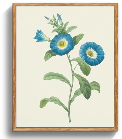 MHARTK66 Cuadros Decoracion Dormitorios con Marco Madera, 30x40 cmVintage Planta Lienzos Decorativos Pared Salon, Cuadros Pequeños Decoracion Pared Gloria de La Mañana, Wall Art Comedor Pasillo Baño