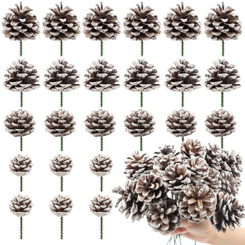 TaoQ C 24 Pieza Conos de Pino de Navidad, 4 Dimensione Natural Conos de Pino con Tallos para árbol de Navidad Artesanías Regalos Acción de Gracias otoño Navidad Decoración del hogar