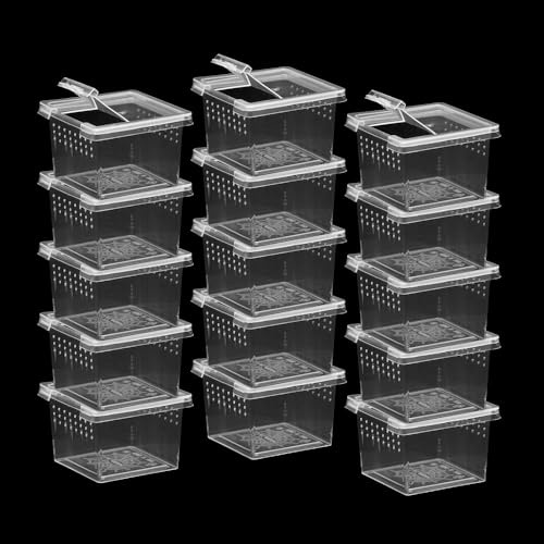 JOBEDE 15 PCS Spider Terrariums Breeding Box, Small Insect Hatching Container Plastic Feeding Box for Small Reptiles Jumping Spider Scorpion Centipede Insect