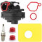 ZAMDOE Rasenmäher Vergaser 799583 für Briggs & Stratton 300E 450E 500E OVH Motoren 125cc 140cc 08P502 09P602 Serie Ersetzt 591160 595656 591979 593261 Carb