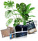 Leeventi NutrientFlow V3.0 Hydroponisches Anzuchtsystem Komplettset mit Dünger und Wasserstandsanzeiger – Kein pH- oder EC-Messen erforderlich – Ideal für Growbox, Growzelt und Indoor-Anbau