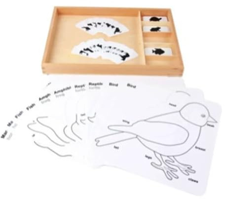 Montessori 3-delade kort med träsorteringsbricka | Kort för djur- och växtnomenklatur, biologiskt språkmaterial, lärotillbehör för vetenskaplig klassificering