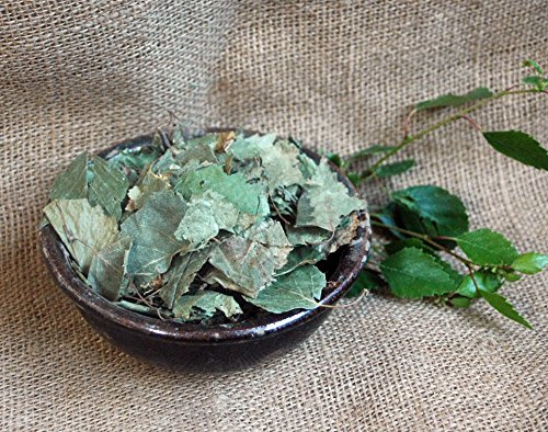 Naturix24 – Björkblad hela – 1 kg aromskyddspåse