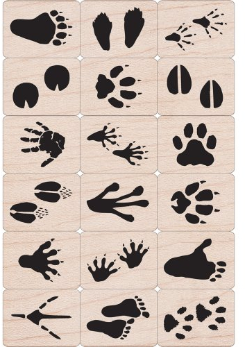 Hero Arts LL376 Ink 'n' Stamp Wood Sets, Animal Prints