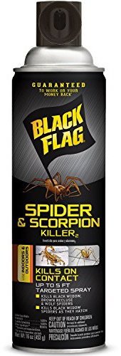 Black Flag Spider and Scorpion Killer 16 Ounces, Aerosol Insecticide Spray, 12 Pack