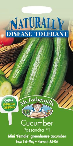 Mr Fothergill's Cucumber Passandra F1