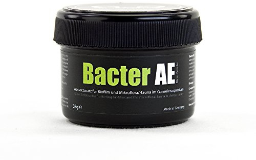 GlasGarten Bacter AE Traitement pour réservoir de crevettes (35 g) | Nutriments pour Nourriture Vivante de crevettes d'eau Douce et Eau d'aquarium (Neocaridina, Amano, Cerise Rouge, Rilil)