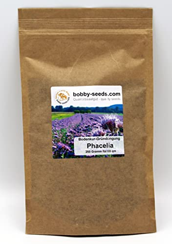 Bodenkur Phacelia Bienenfreund - einjährige Gründüngung und Bienenweide 250g