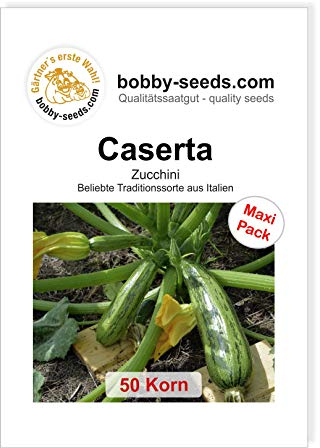 Caserta Zucchinisamen von Bobby-Seeds, 50 Korn